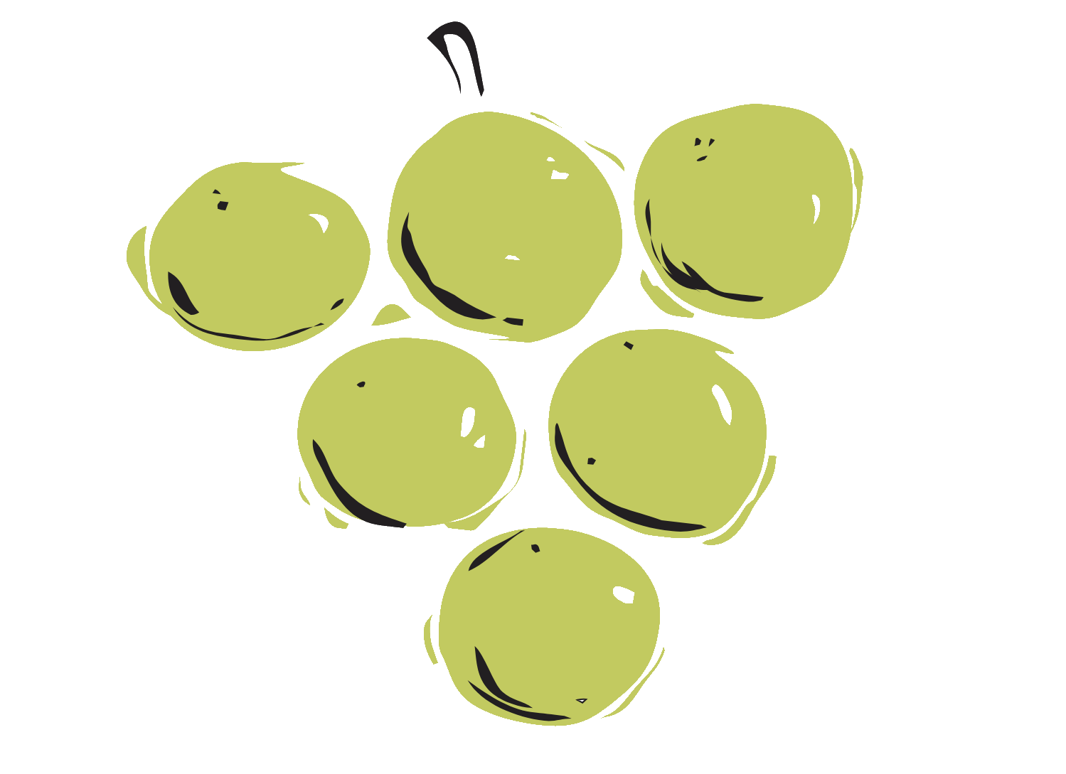 Pitschlmann Logo